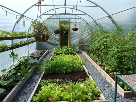 Tunnel Greenhouse, Greenhouse Farming, Build A Greenhouse, Greenhouse ...