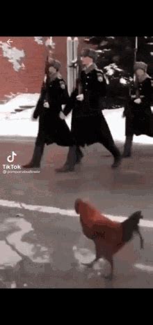 Army Chicken GIF - Army Chicken Parade - Discover & Share GIFs