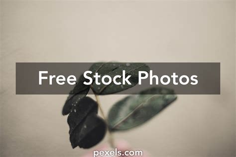 Damp Texture Photos, Download The BEST Free Damp Texture Stock Photos ...