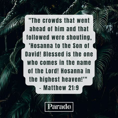 45 Palm Sunday Quotes and Scriptures (2024) - Parade