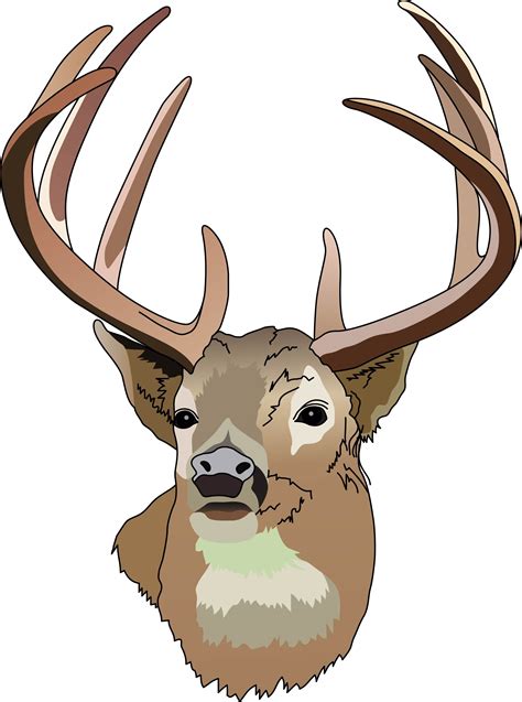 Deer Hunting Clipart - ClipArt Best