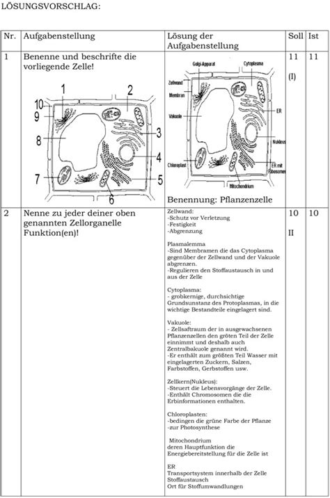 Klassenarbeit zu Genetik und DNA