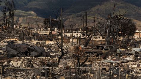 Hawaii wildfire cause: Power utility issues statement on cause | cbs8.com