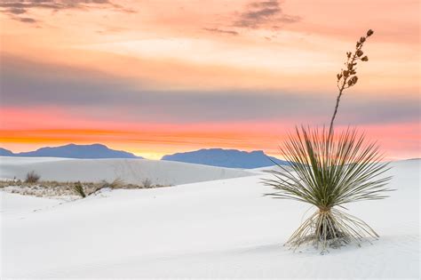 Sunset at White Sands National Monument | New Mexico | Desert | Pictures, Photos, Images, Prints