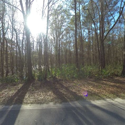 Altamaha River Park | Terrain360