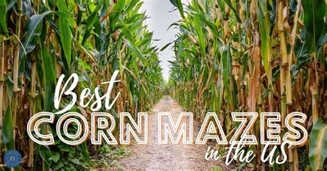 12 Best Corn Mazes in the US