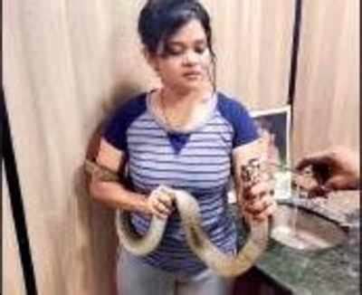 Palghar: Cobra found with maggot wounds in mouth | Mumbai News - Times ...