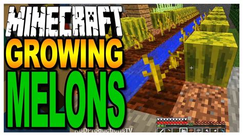 [最も共有された！ √] planting melon seeds minecraft 494779-How to grow melon seeds minecraft - Joshimageswms