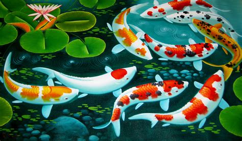 HD Koi Fish Wallpaper (54+ images)