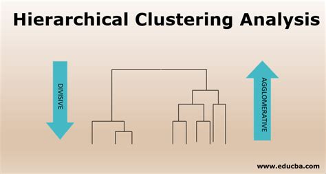 Hierarchical Clustering Analysis | Different Types of Hierarchical Clustering