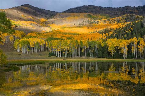 Fish Lake Utah: One of Utah’s Hidden Gems - Skeehive