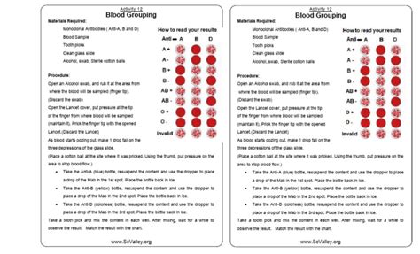 Blood Grouping | PDF