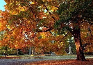 Cincinnati - Spring Grove Cemetery & Arboretum "Autumn Mor… | Flickr