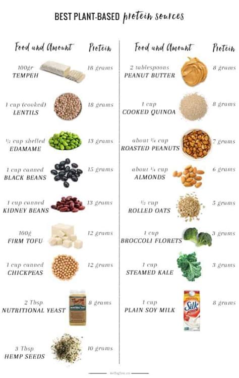 A Nutritionist Explains: The Best Plant-Based Protein Sources | Hello Glow