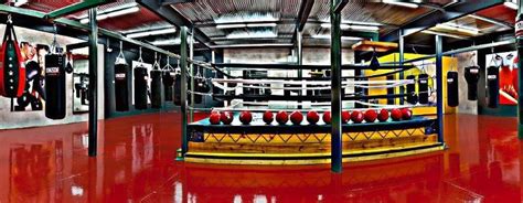 punchboxingforfitness.com | Best gym, Workout pictures, Boxing workout