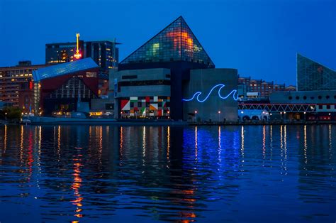 Review of the National Aquarium Baltimore Inner Harbor