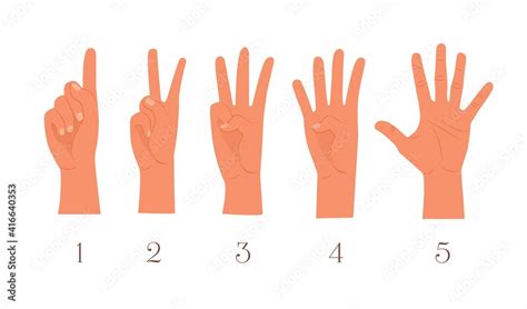 Set of fingers. first, second, third, fourth, fifth, one, two, three, four, five fingers. Hand ...