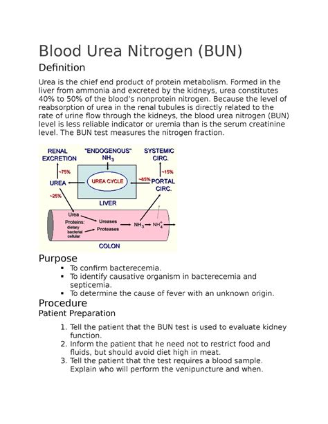 blood urea nitrogen - Agile Hiraeth