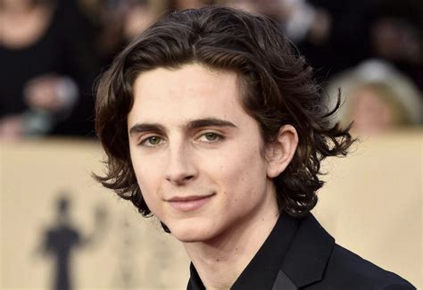 Timothée Chalamet’s Family Tree - McSweeney’s Internet Tendency