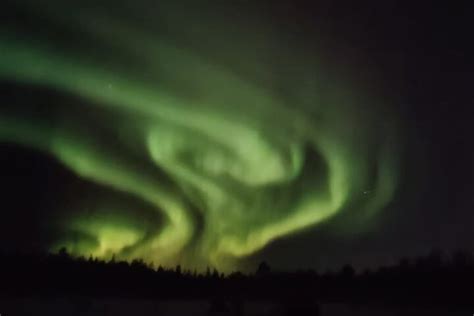 2024 (Rovaniemi) Private Guided Aurora Borealis Night Tour in Finland