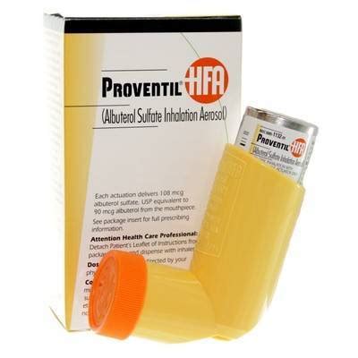 Proventil: Albuterol Inhaler for Dogs and Cats - VetRxDirect