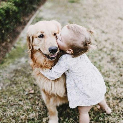 Golden Retriever kisses! How sweet! | Cute babies, Golden retriever, Cute little puppies