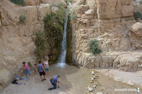 Ein Gedi Nature Reserve – Wonder Israel