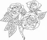 Free Printable Roses Coloring Pages For Kids sketch template