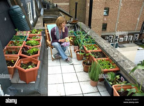 Woman looking at vegetables salads urban rooftop vegetable garden London Stock Photo - Alamy