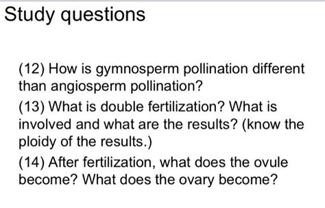 Solved Study questions (12) How is gymnosperm pollination | Chegg.com