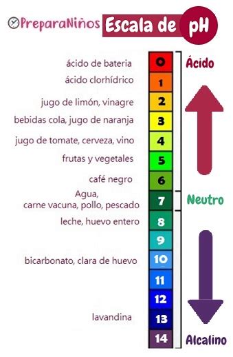 Escala de pH: Acidez de los alimentos - PreparaNiños.com