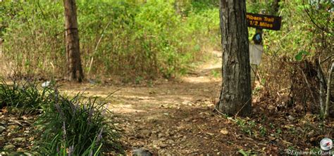 Roaring River State Park Trails | Explore the Ozarks