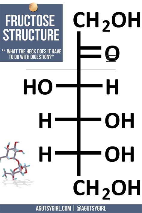 Fructose Structure - A Gutsy Girl®