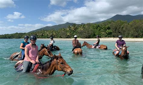 Cape Tribulation Activities & Experiences | ClubConnect + NZ