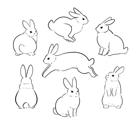 5+ Bunny Rabbit Drawing - RieniRodions