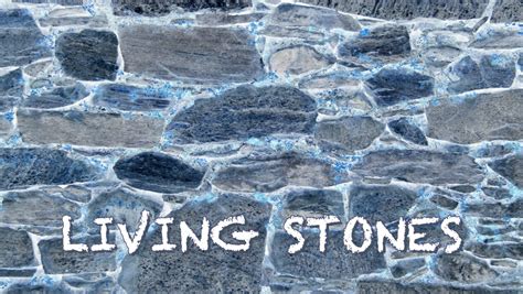 Living-Stones-scaled – Lutheran Church of the Risen Savior