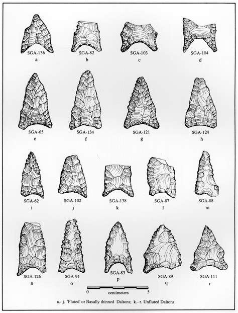 Fluted Dalton Points - New Georgia Encyclopedia