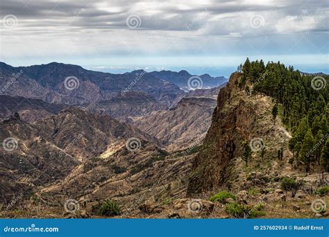 Gran Canaria Hiking Route Cruz De Tejeda To Artenara, View into Caldera ...