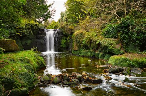 Walks in Newcastle | Explore the great outdoors | Enjoy Newcastle