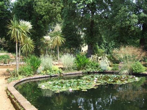 Abbotsbury Subtropical Gardens | Dorset | UK Coast Guide