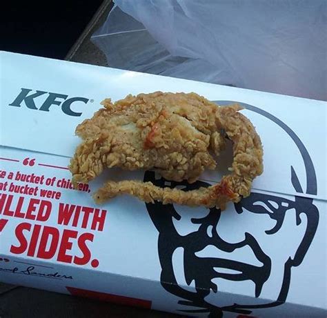 Kfc Fried Rat Meme - 58+ Koleksi Gambar