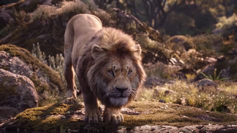 Full "Lion King" Trailer Shows Timon and Pumbaa Singing "The Lion ...