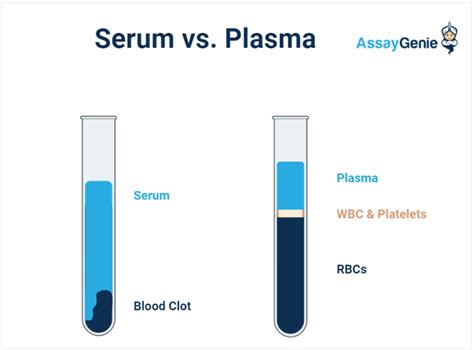 What Is The Difference Between Serum And Plasma In De - vrogue.co