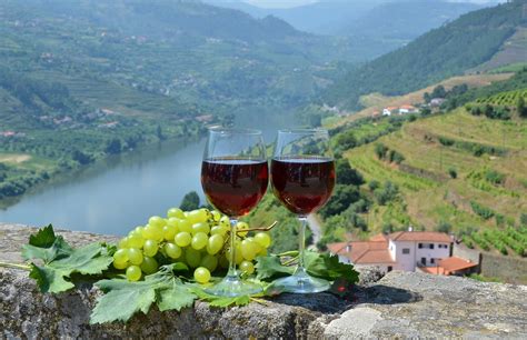 Excursion d'une journée dans le Douro: déjeuner typique, dégustation de vin et croisière - Porto ...