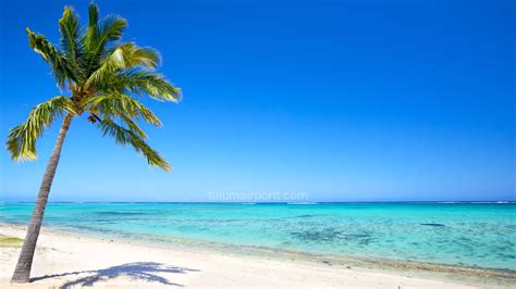 Paradise Beach in Tulum: A Corner of Unmatched Beauty