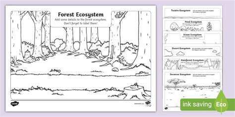 Update more than 127 ecosystem drawing project super hot - vietkidsiq ...