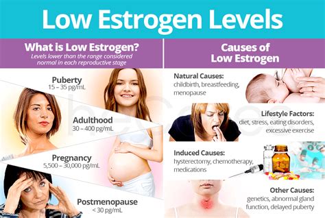 08.6. Hormonrendszer: Nemi hormonok és a szöveti hormonok - BIOLÓGIA TUDOMÁNYA