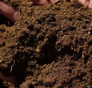 Gardner's guide to reuse potting soil - Don't throw your soil away