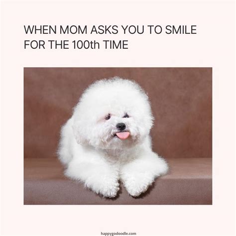 Top 105 + Animal smiling meme - Lifewithvernonhoward.com