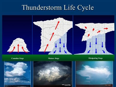 Thunderstorm Life Cycle Cumulus Stage